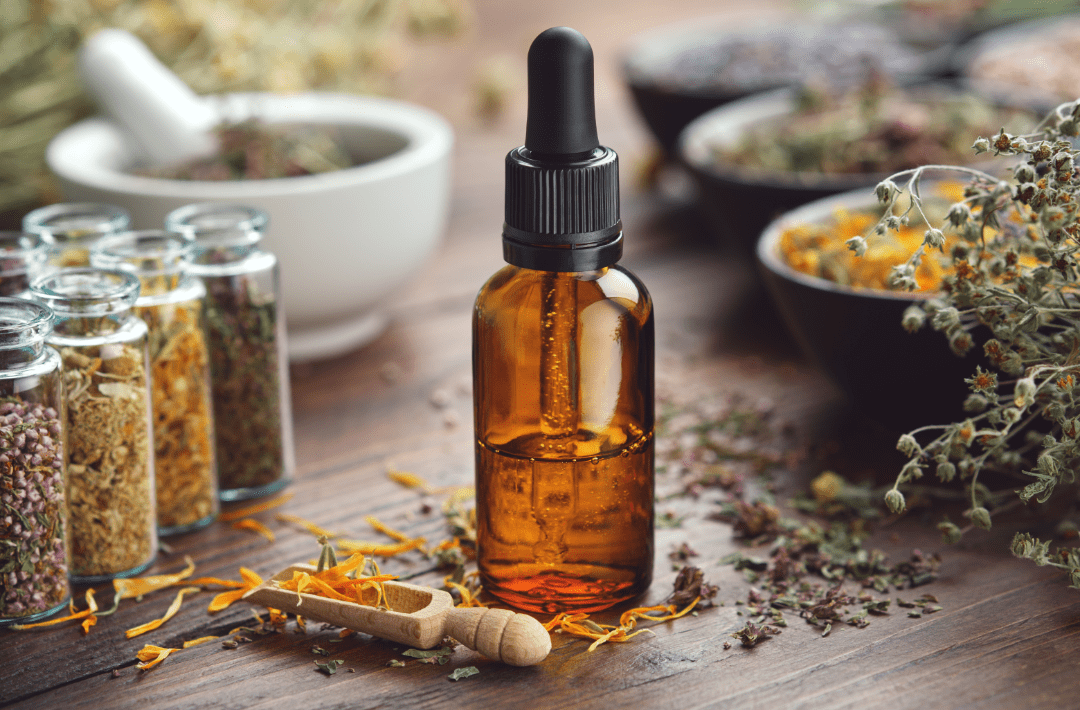 Photo of Cartagena's cathedral at the background and some colonial style houses